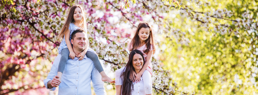 Consumer Loan Application