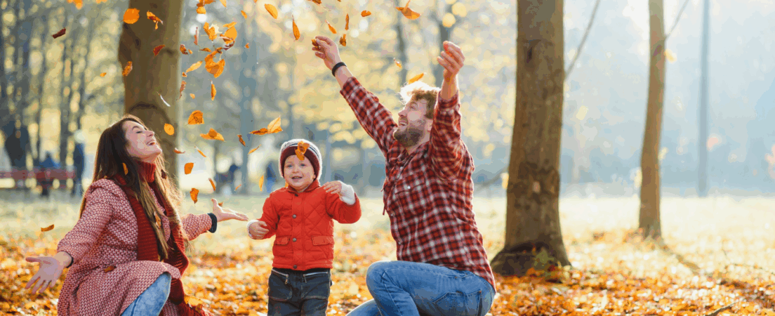 Consumer Loan Application